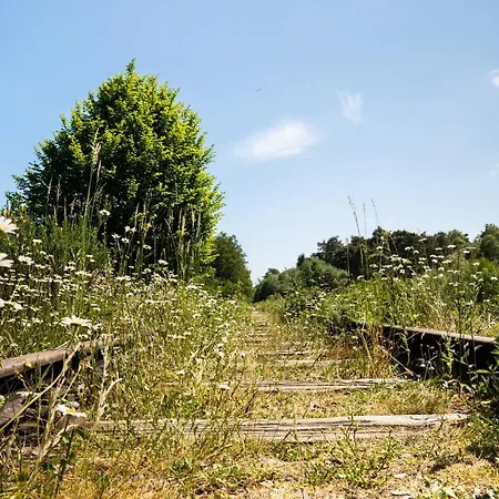 Vakantiepark Hofparken Wiltershaar