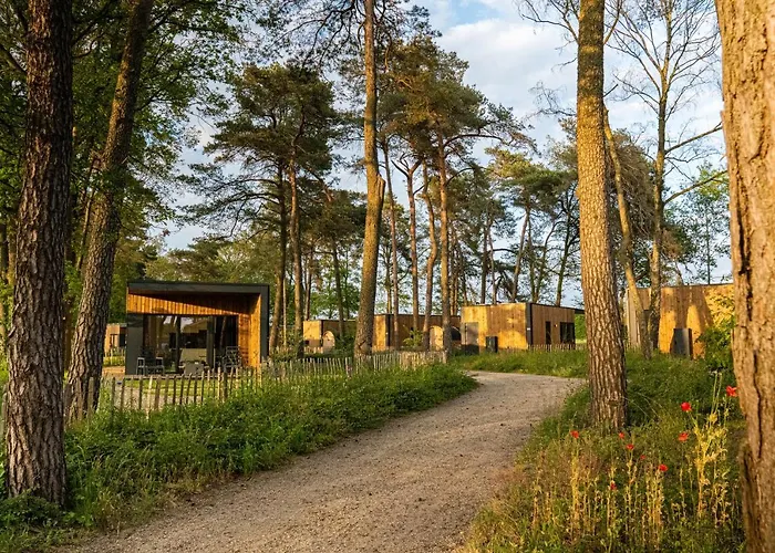 Hofparken Wiltershaar Tatil parkı Winterswijk