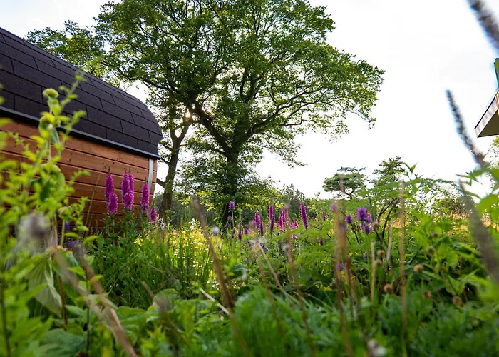 Hofparken Wiltershaar Winterswijk