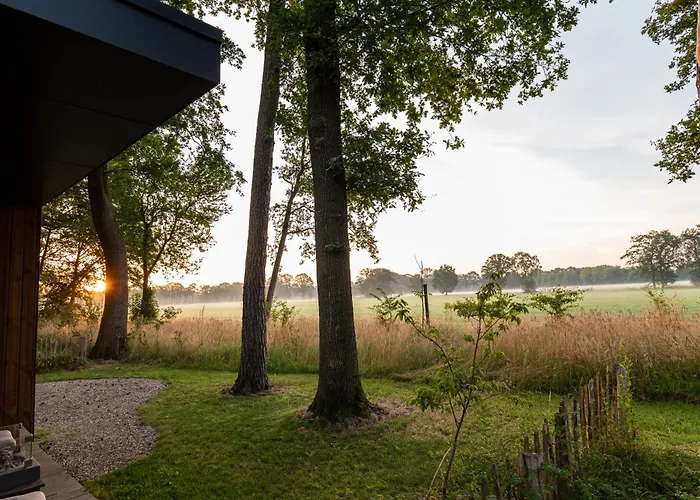 Hofparken Wiltershaar Kompleks wypoczynkowy *